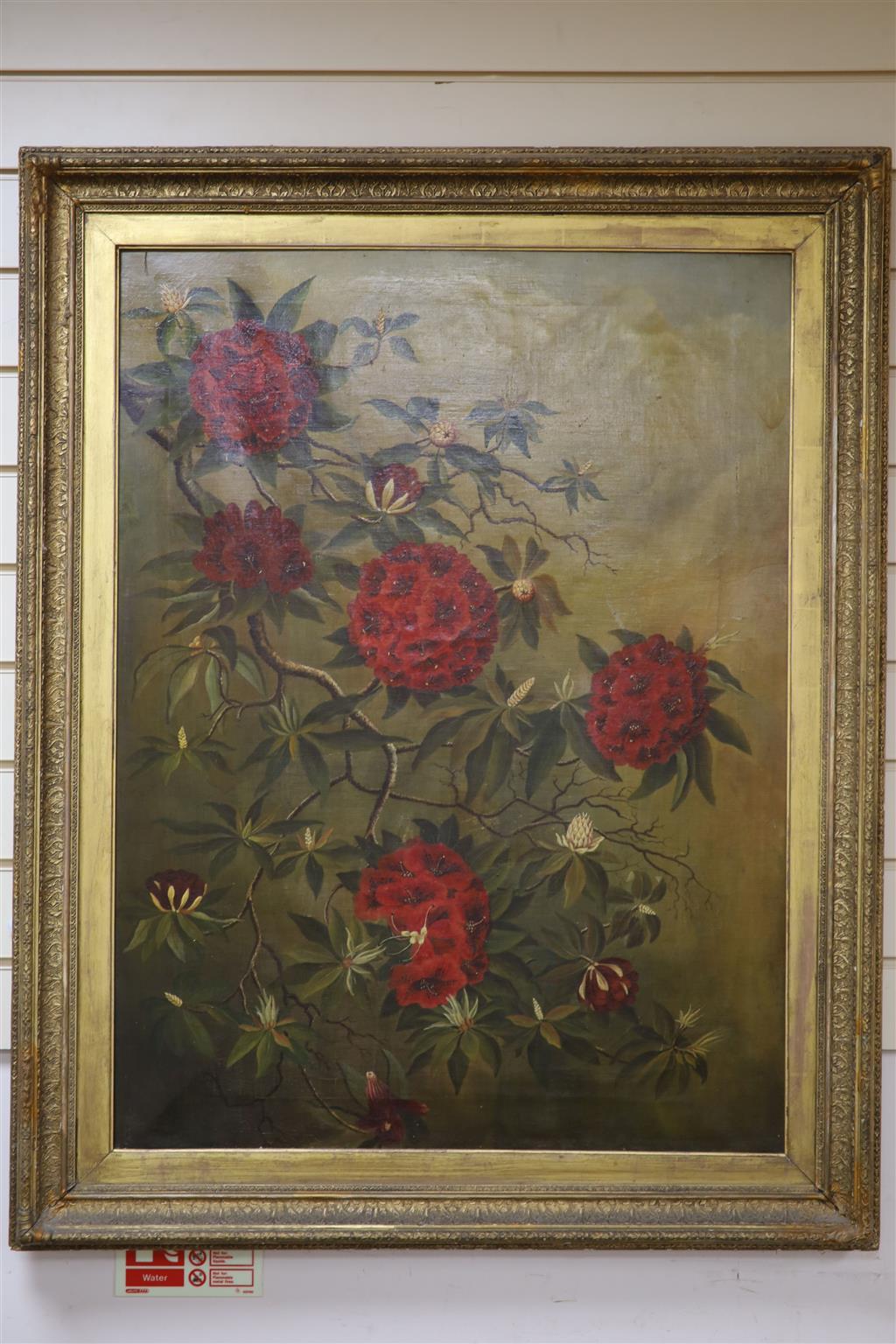 English School c.1900, oil on canvas, Study of Rhododendron blossom, indistinctly signed, 90 x 67cm